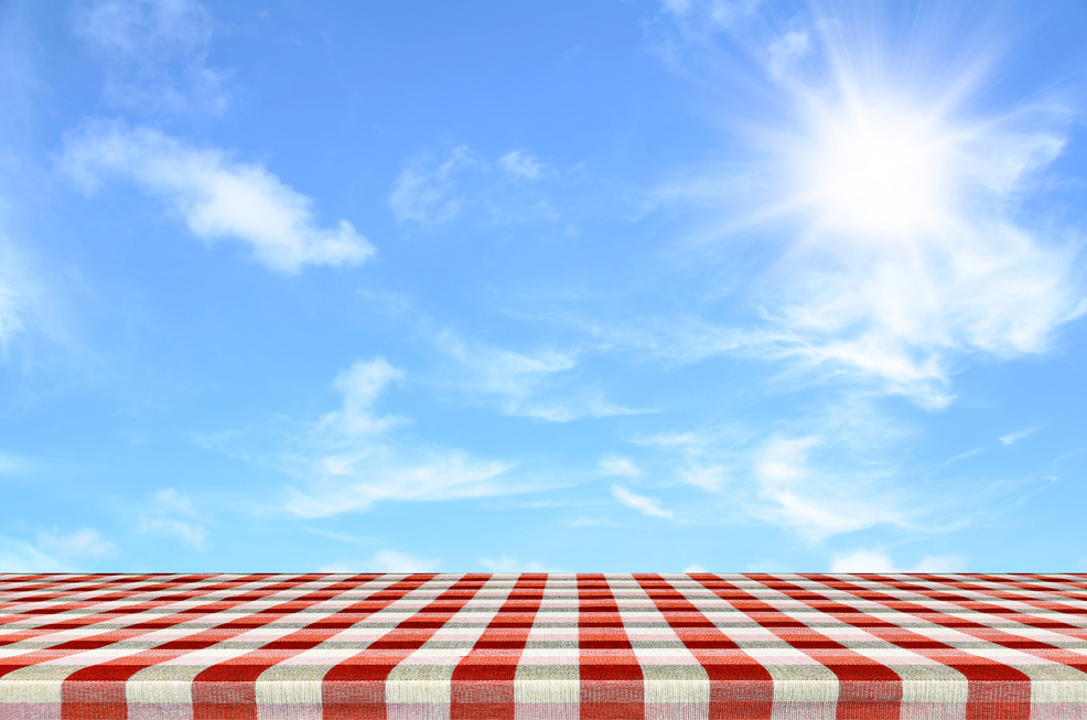 Picnic table and outdoor picnic background concept in summer sun light.