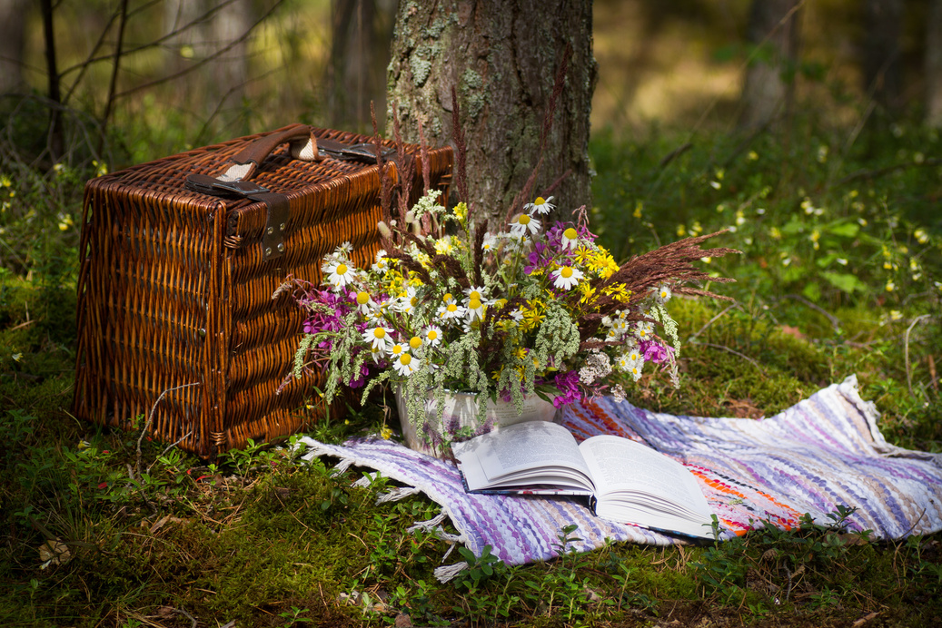 Picnic in the Forest